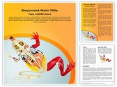 Animal Digestive System Template