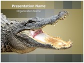 Alligator Editable PowerPoint Template