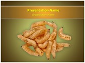 Larva Editable PowerPoint Template