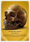 Anatomy Human Skull