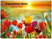 Nature Flowers Editable PowerPoint Template