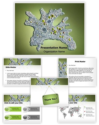 Amoeba Editable PowerPoint Template