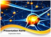 Neuron Template