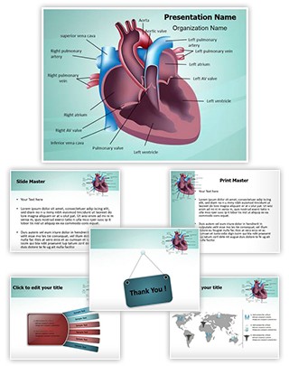 Cardiovascular Anatomy Ventricle Editable PowerPoint Template