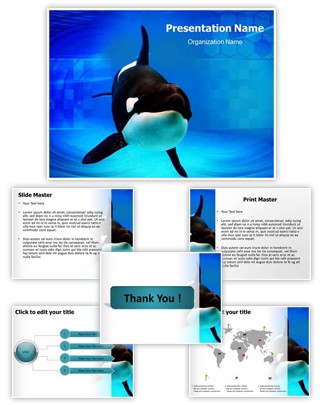 Orca Editable PowerPoint Template