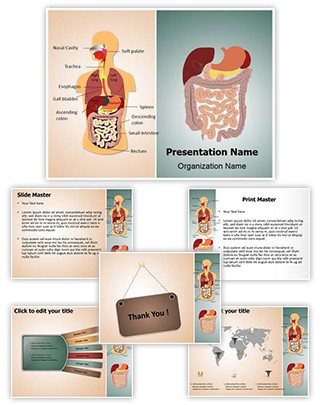 digestive system template powerpoint presentation