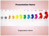 Fetus Stages Editable PowerPoint Template