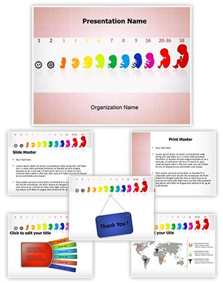 Fetus Stages Editable PowerPoint Template