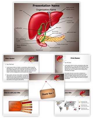 Gastrointestinal Organ System Editable PowerPoint Template