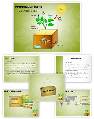 Plant Schematic Photosynthesis Editable PowerPoint Template