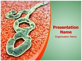 Ebola Virus Editable PowerPoint Template