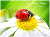 Ladybug Flower Editable PowerPoint Template