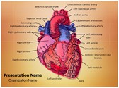 Cardiac Blood Vessels Editable PowerPoint Template