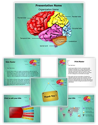 Cerebellum Brain Parts Editable PowerPoint Template