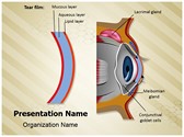 Cornea Tear Film Formation Editable PowerPoint Template