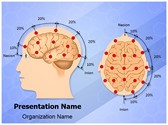 Eeg Electrode Placement Editable PowerPoint Template