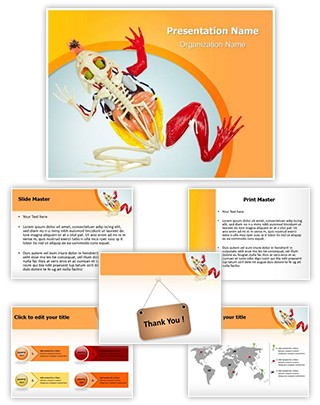 Animal Digestive System Editable PowerPoint Template