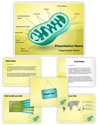 Eukaryotic Mitochondrion Organelle Editable PowerPoint Template