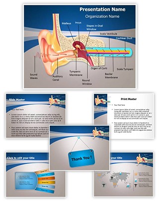 Hearing Mechanism Editable PowerPoint Template