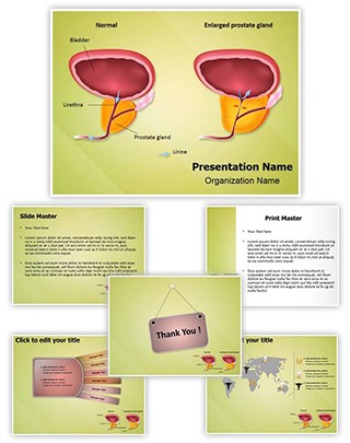 Benign Prostatic Hyperplasia Editable PowerPoint Template