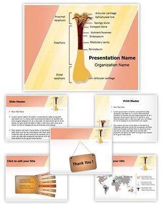 Bone Structure Editable PowerPoint Template