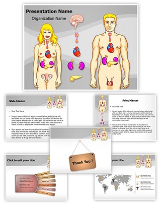 Human Endocrine System Editable PowerPoint Template