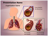 Human Lung Function Editable Template