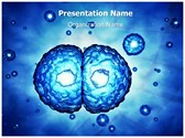 Mitosis Editable PowerPoint Template