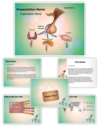 Hypothalamic Pituitary Axes Editable PowerPoint Template