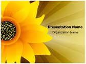 Sunflower Editable PowerPoint Template