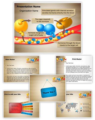 Hormone Glands Enzymes Editable PowerPoint Template