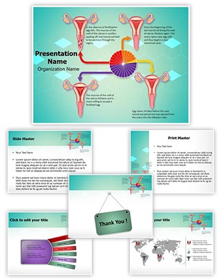 Gynecology Menstrual Cycle Editable PowerPoint Template