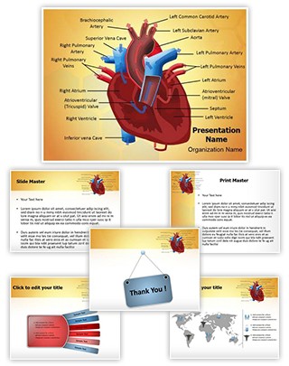 Heart Blood Circulation