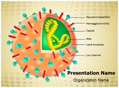 Influenza Virion Structure Editable PowerPoint Template