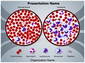 Leukemia Diagnosis Editable PowerPoint Template