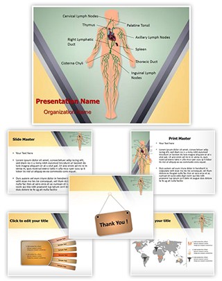 Lymphatic System Editable PowerPoint Template