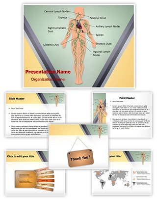 Lymphatic System