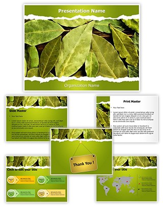 Bay Leaves