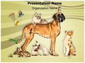 Animals Pets Editable PowerPoint Template