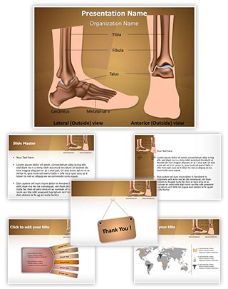 Metatarsal Ankle Joint