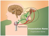 Negative Thyroid Response Editable PowerPoint Template