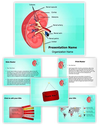 Nephrology kidney Editable PowerPoint Template