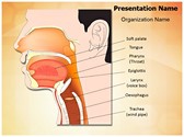 Nose mouth and throat Editable PowerPoint Template