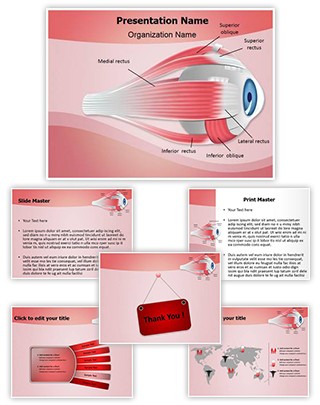 Ophthalmology Eye Muscles Editable PowerPoint Template