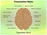 System Nervous Lateralization Editable Template