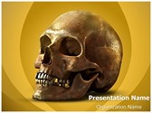 Anatomy Human Skull