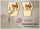 Menstruation Cotton Tampon Editable PowerPoint Template