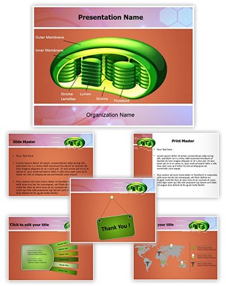 Photosynthesis Chloroplast