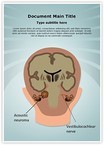 Acoustic Neuroma Vestibulocochlear Nerve Editable Template