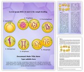 Genetic Engineering Mitosis Template